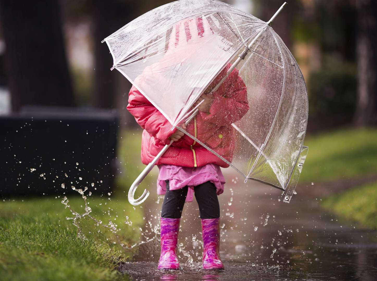 Keep your brollies at hand as it's going to rain all day. PA Photo/thinkstockphotos