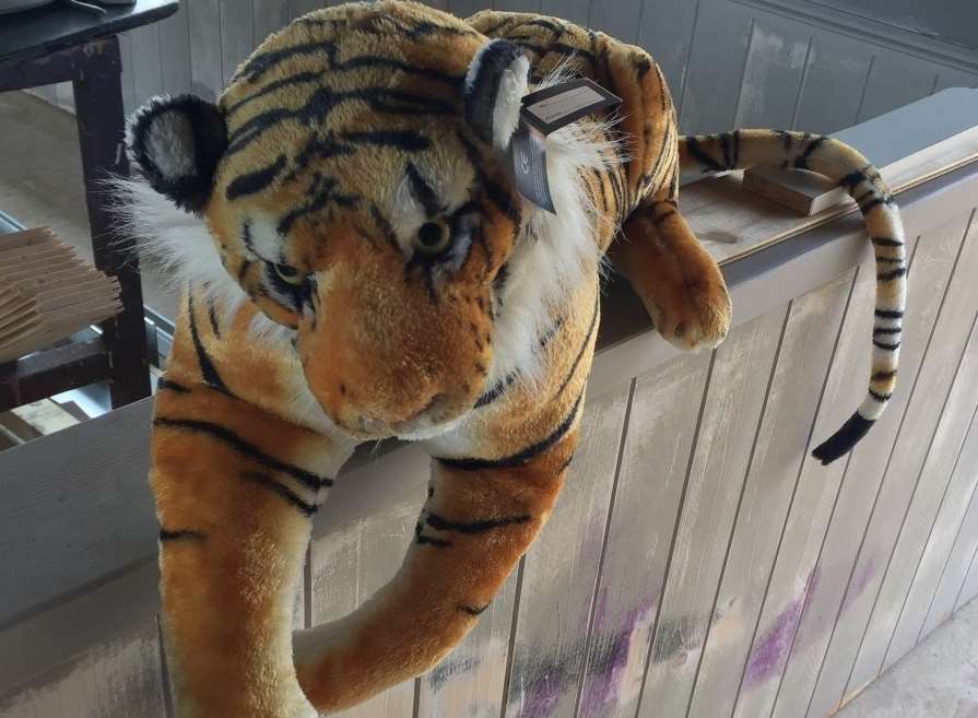 Police have released this picture of a distinctive soft toy tiger