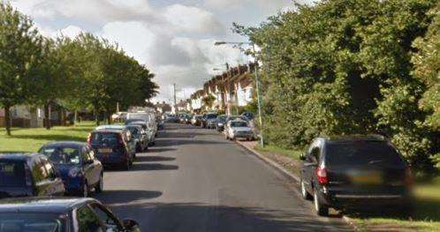 The cat was found dead and mutilated in Featherby Road, Gillingham