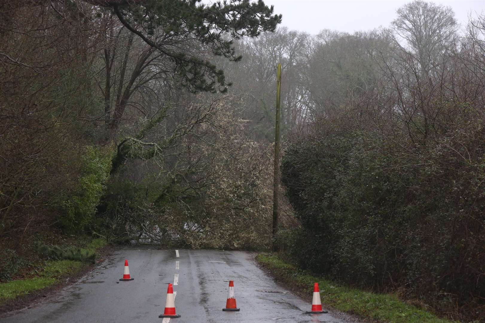 Storm Dennis blew down a tree in Iden Green Road, Benenden. Picture by UKNIP