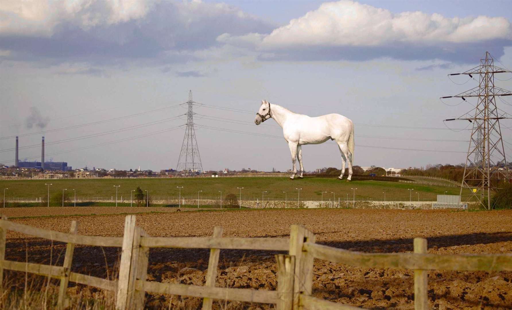 The white horse was designed by the artist Mark Wallinger