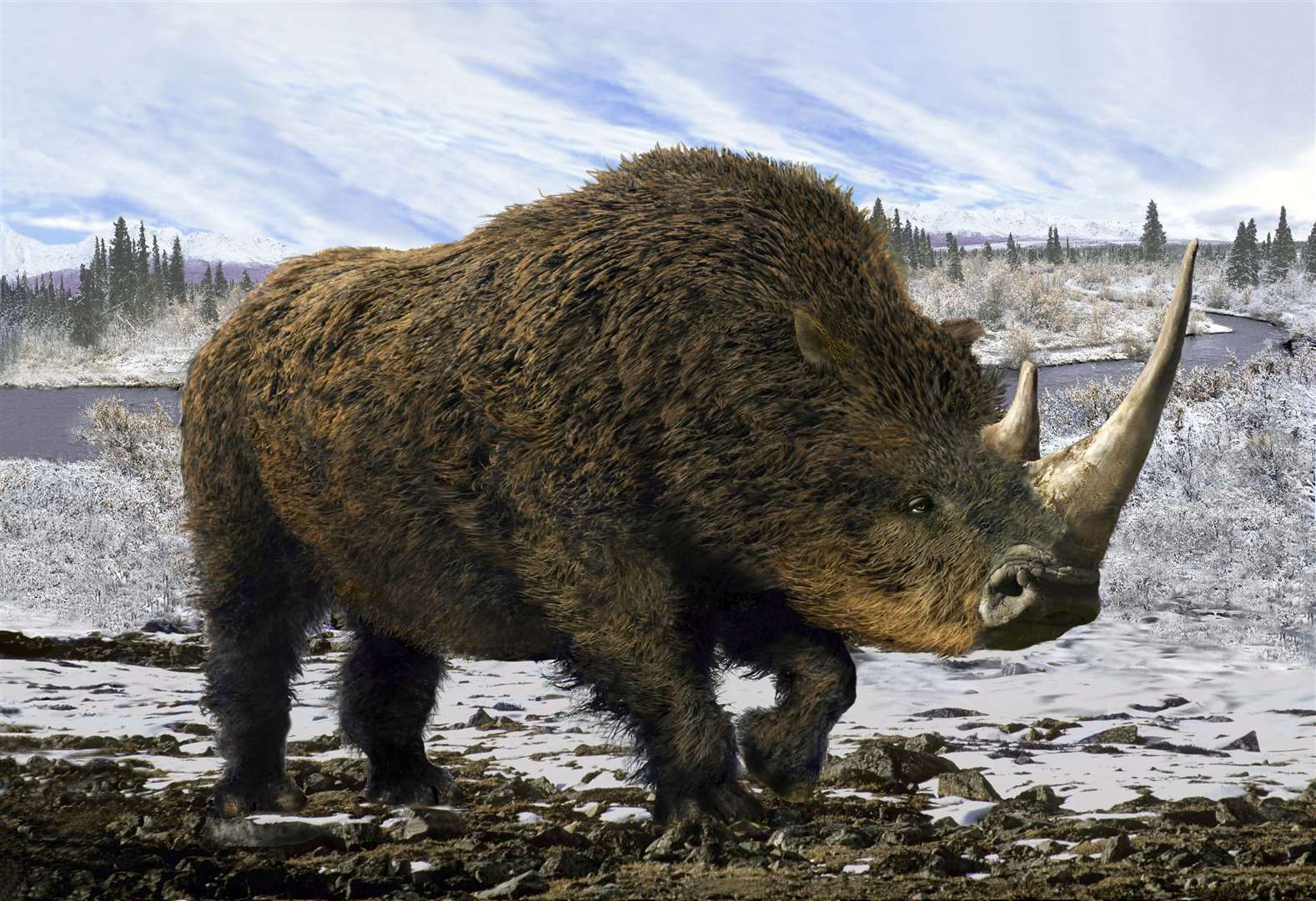 Discover the woolly rhinoceros and other creatures of past Kent wildlife.