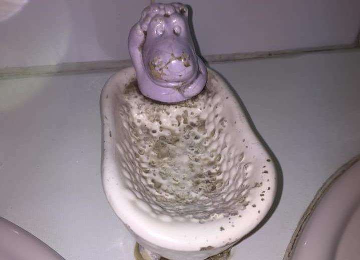 A soap dish, which has been there for more than a decade, had mould on its inside. Picture: Matilda Smith (5531413)