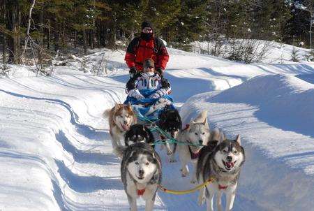 Tracey Hill from the EllenorLions Hospices dog sledging in Canada with husband Simon in 2010.