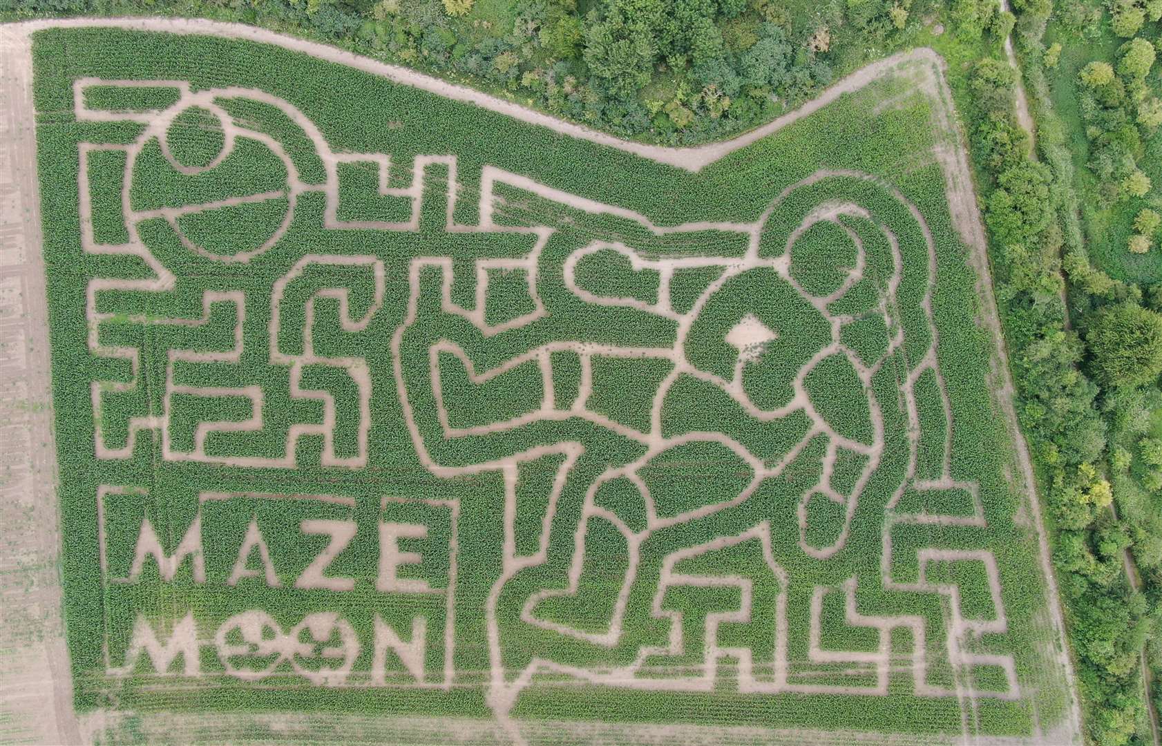 The maze in Rainham featured an astronaut as part of its space-themed maze. Photo: James Kemsley