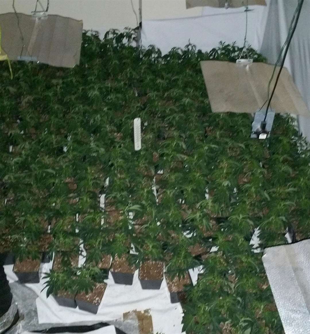 Two men have been charged and will appear in court in Canterbury accused of growing cannabis inside the property. Picture: Kent Police