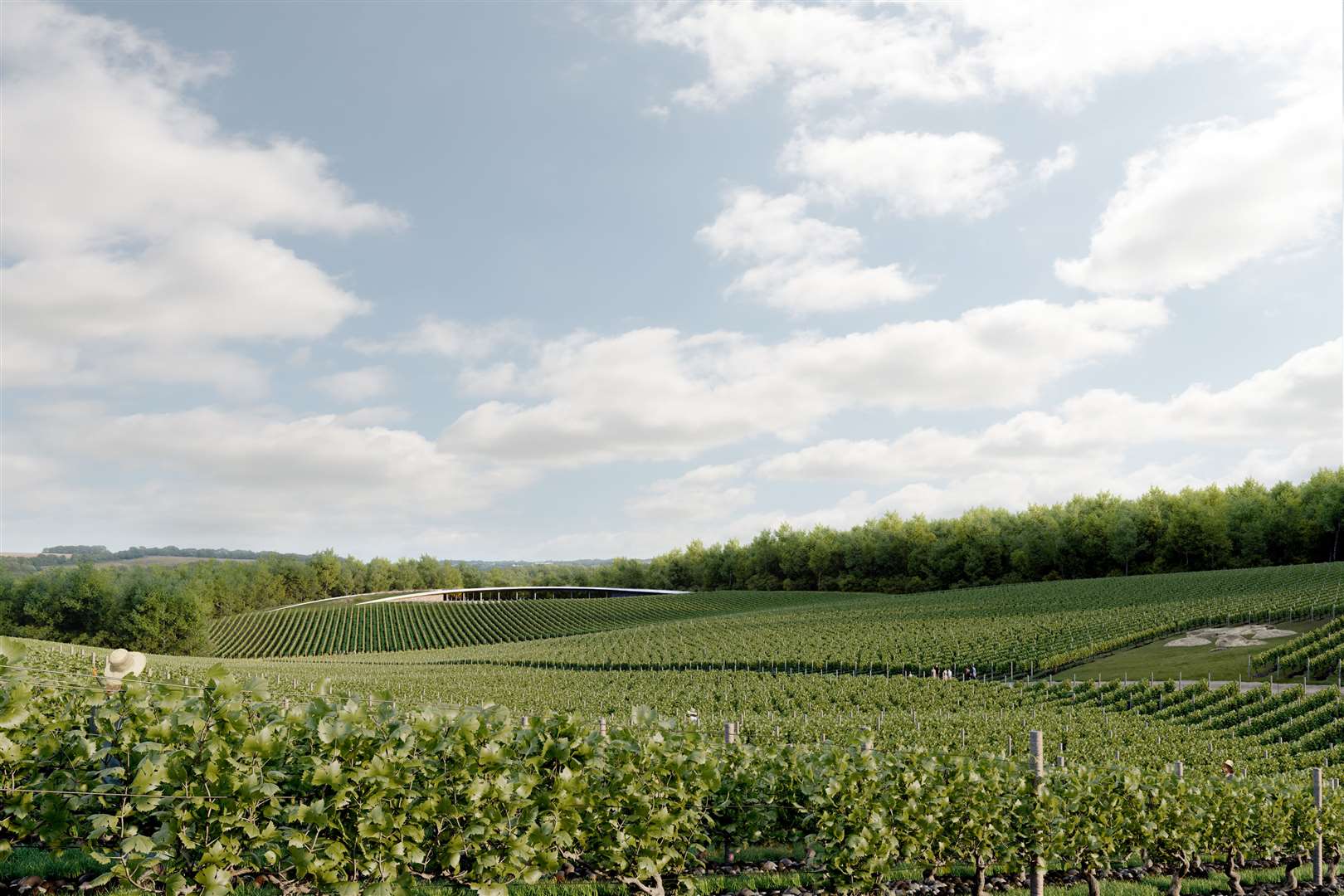 An artist's impression of the winery and vineyards