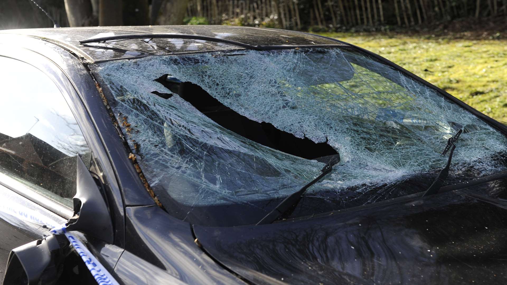 A car damaged by a falling tree in Walmer near Deal