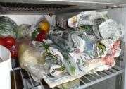 Food was found wrapped in newspaper in a fridge