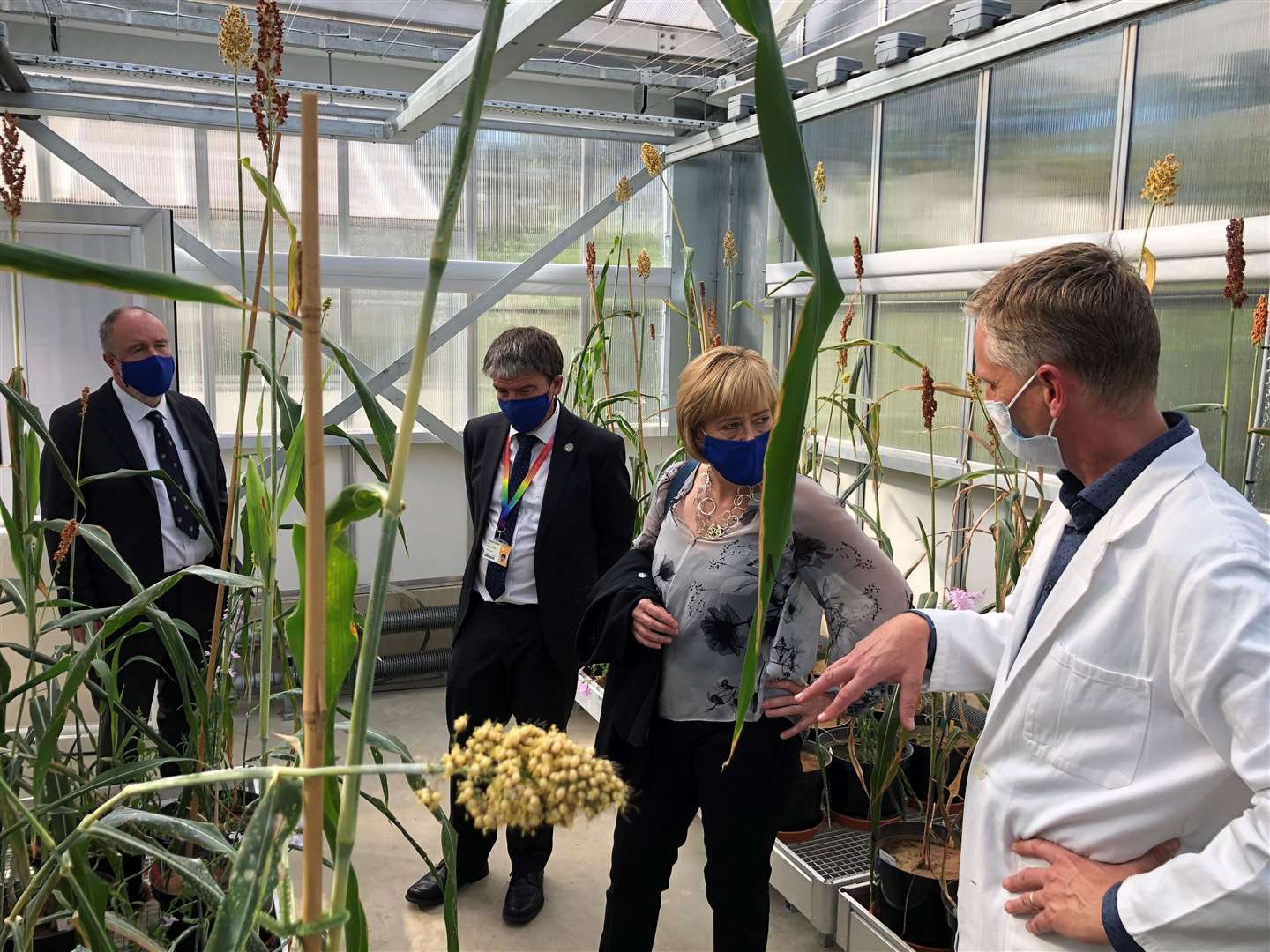 Inside the new climate change greenhouse. Picture: University of Greenwich
