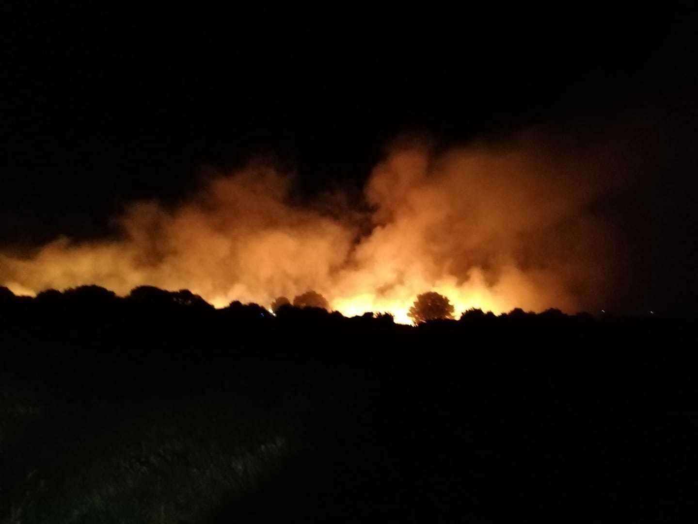 The huge blaze in the corn field started shortly after midnight in Broadley Road, Margate. Picture: Nina Withecombe (14996975)