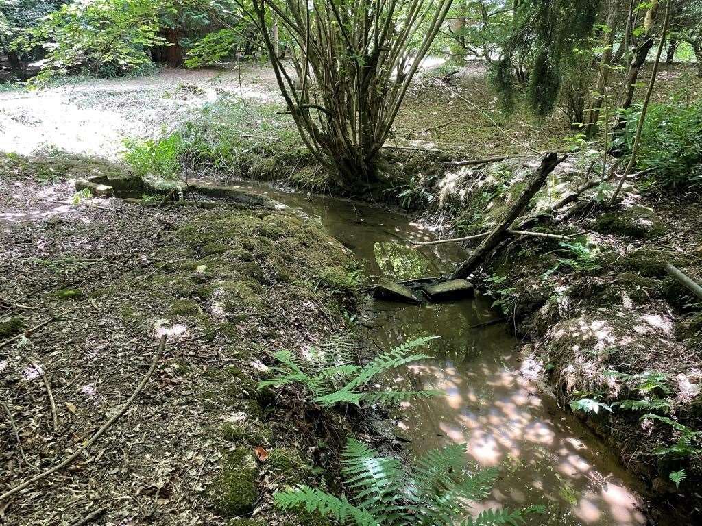 There is a stream on site. Photo: Clive Emson