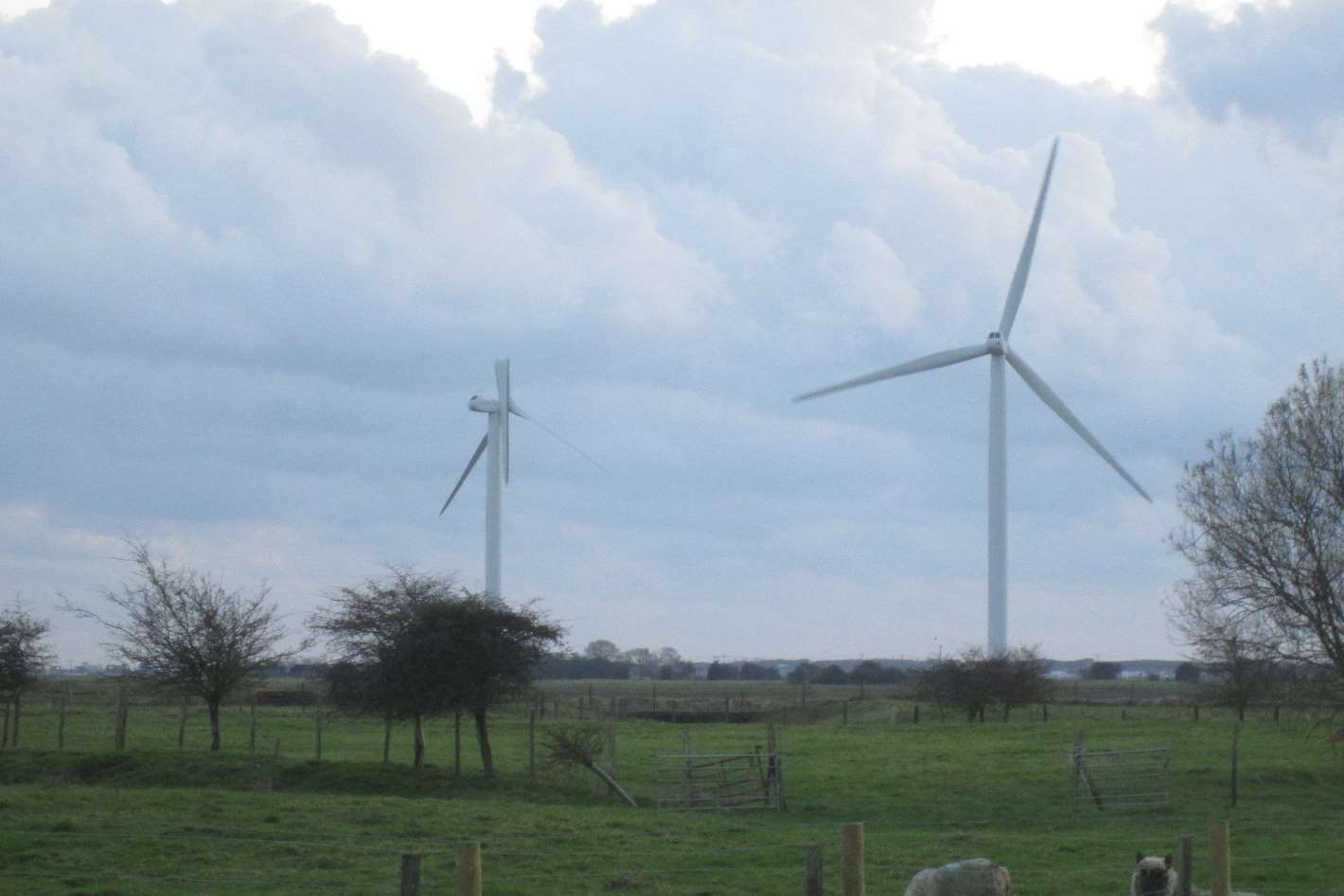 The turbine is one of 26 in the area
