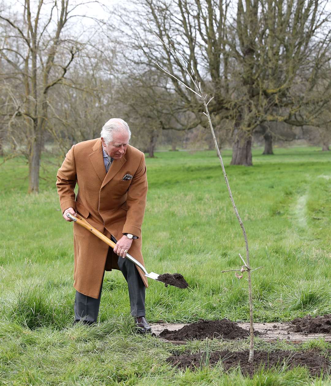 The Prince of Wales planting the first Jubilee tree to mark the Queen’s platinum jubilee in the grounds of Windsor Castle (Chris Jackson/PA)