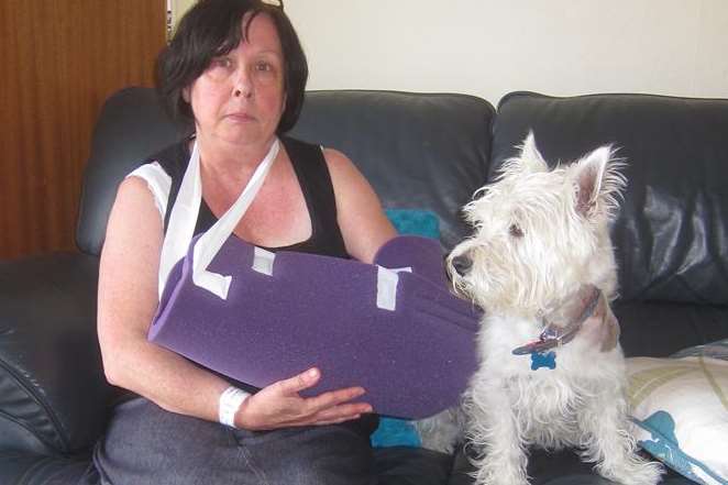 Karen Tabor and her dog Hamish were attacked by a labrador