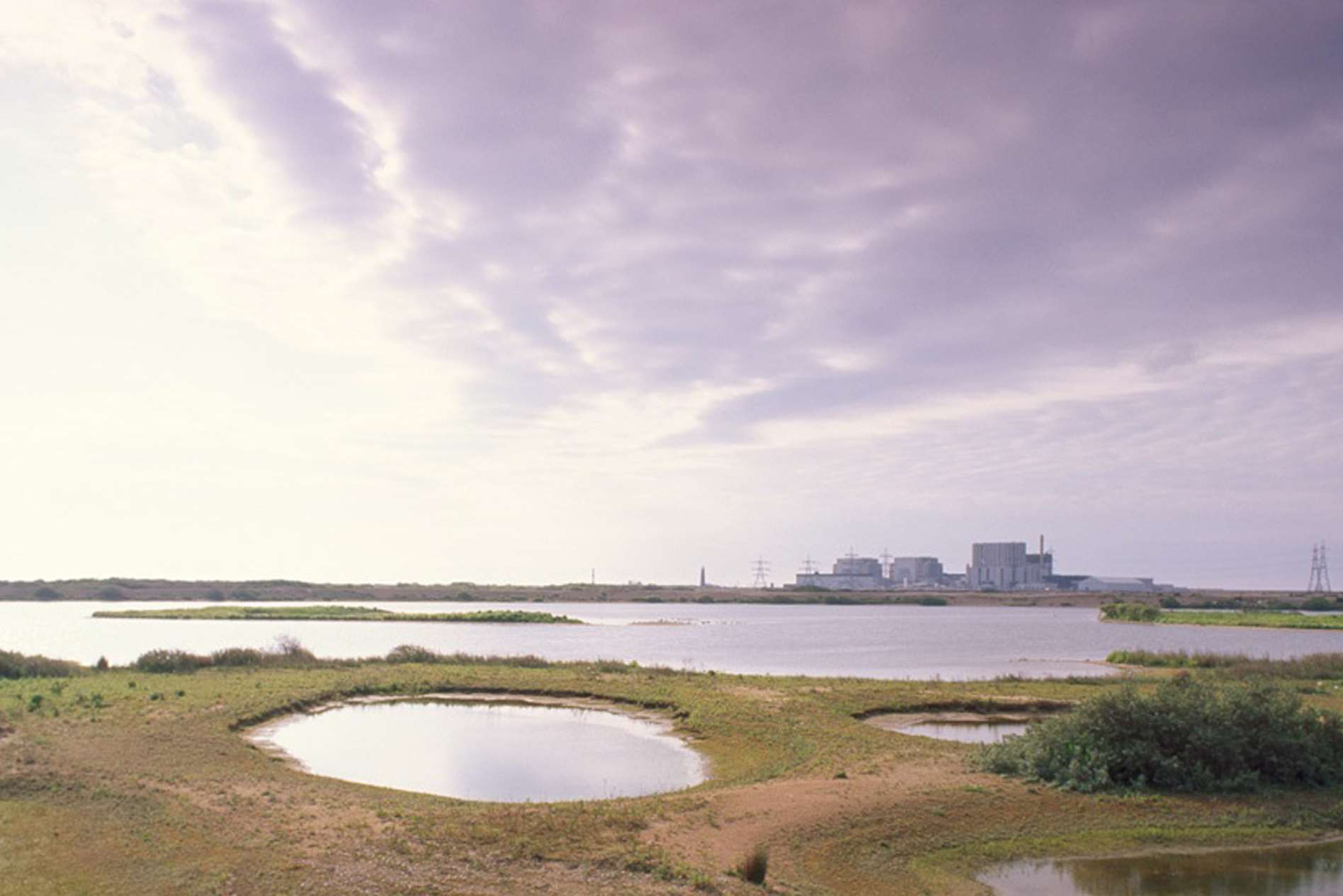 Dungeness nature reserve with the power station in the background. Picture: RSPB