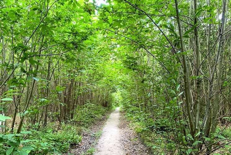 Leybourne Woods is to be purchased by the parish council. Image: Rightmove