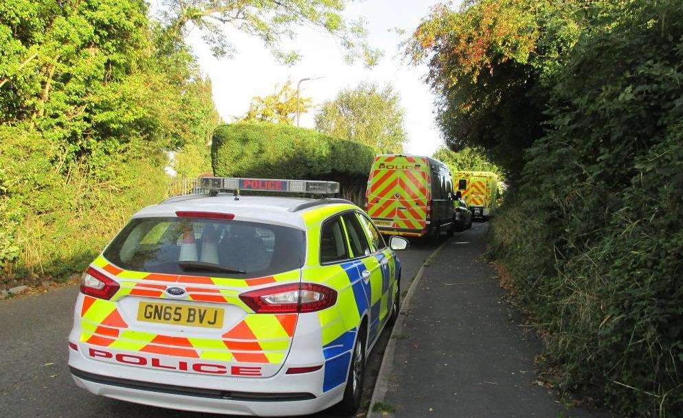 Police responded to an address in Carpenters Lane, Hadlow. Credit: Janet Sergison