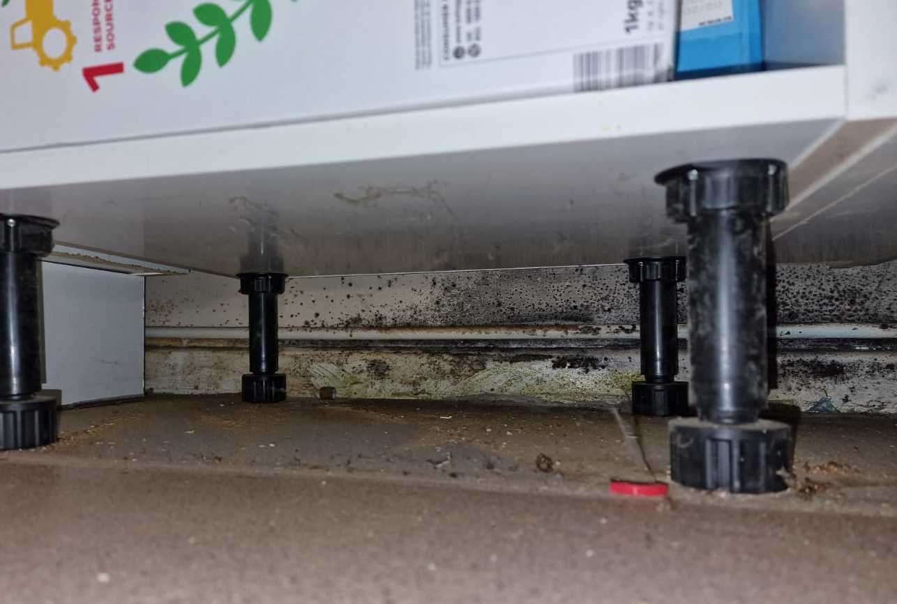 The mould growing behind the cabinet in the kitchen. Picture: Chelsea Hazelwood