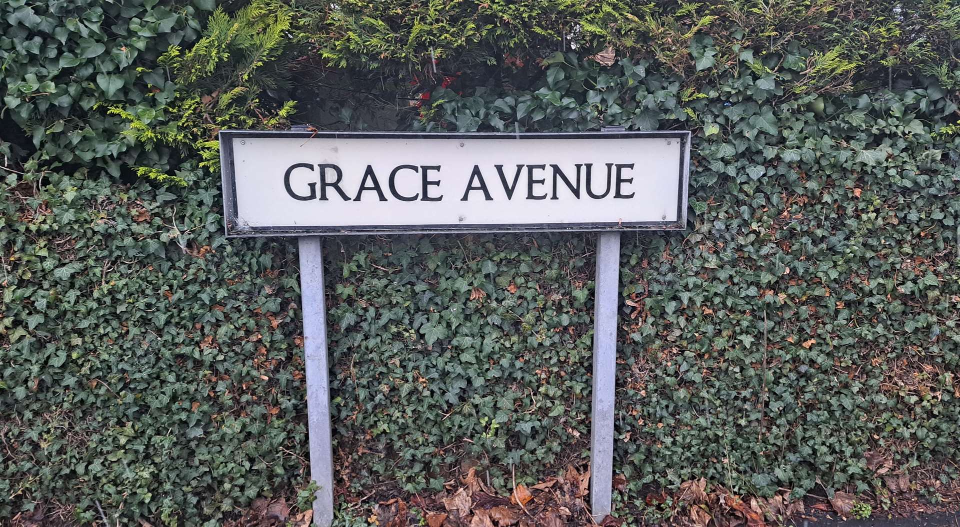 Existing Grace Avenue residents were not keen on the idea
