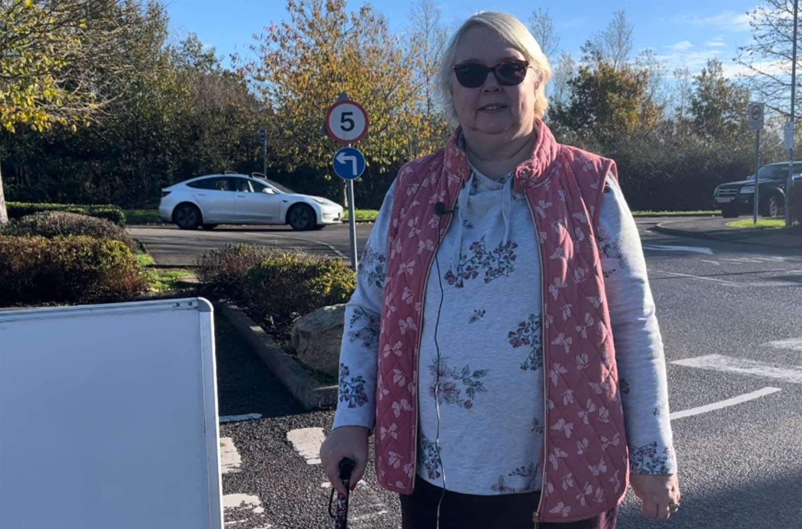 Sue Brown says people could break bones if they fall down the pothole on Gallagher Retail Park