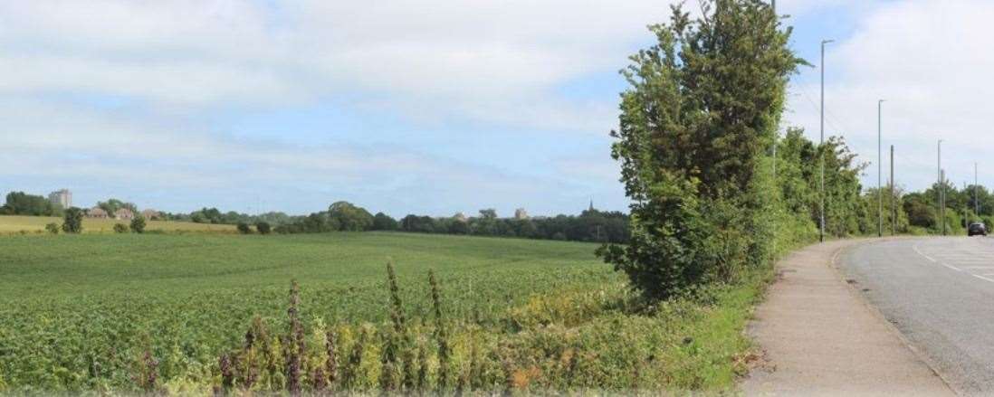 The fields off Shottendane Road which was outlined for 450 new homes. Picture: Picture: Gladmans/CSA Environmental