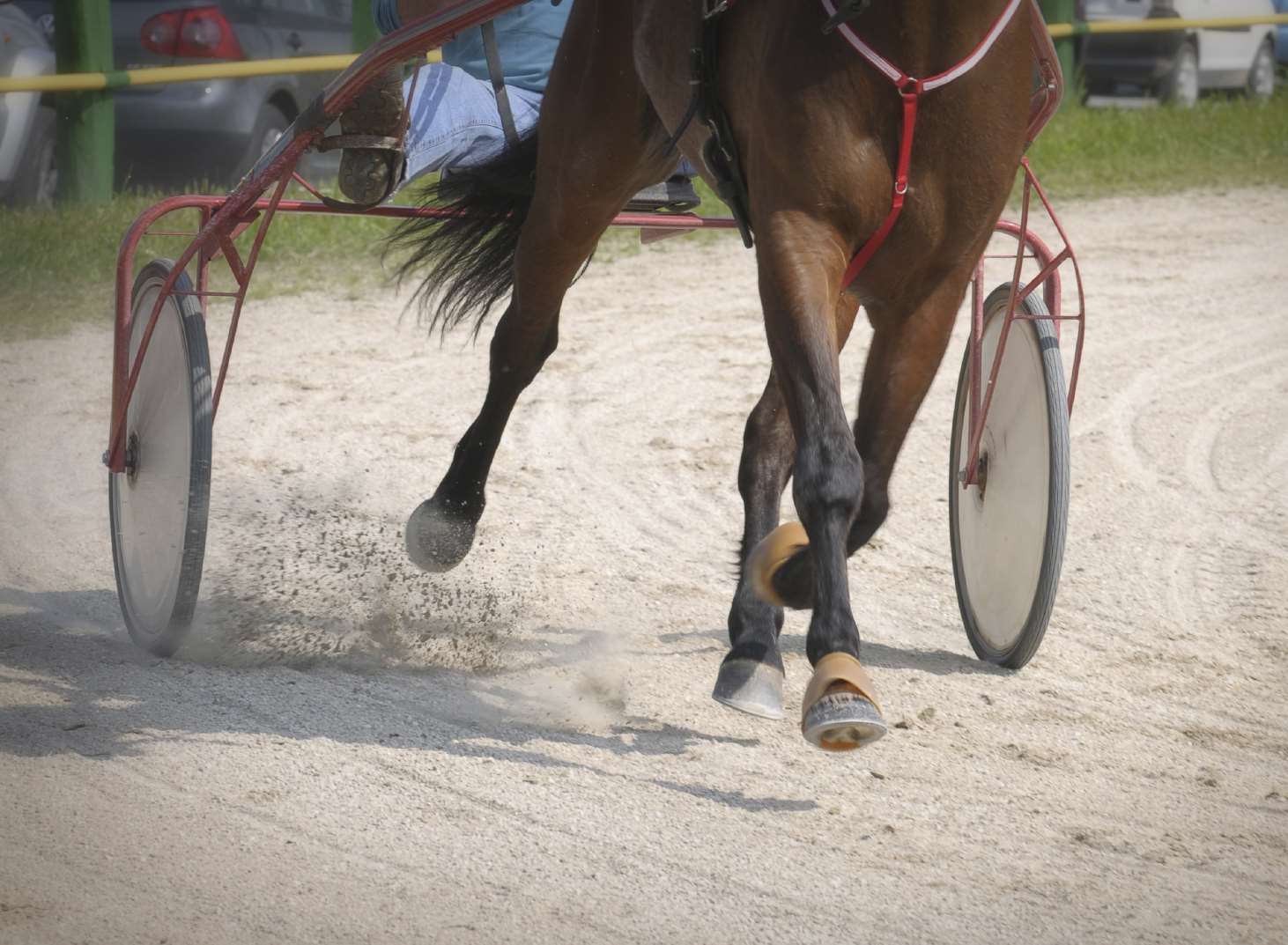 A harness race. Stock picture
