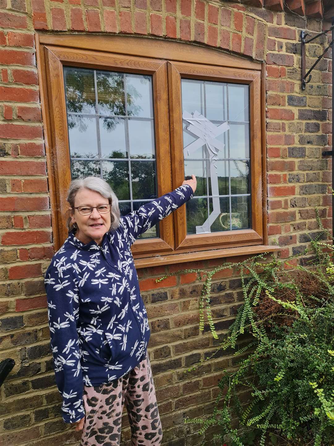 Jacqui Frances says her window was damaged by a catapult