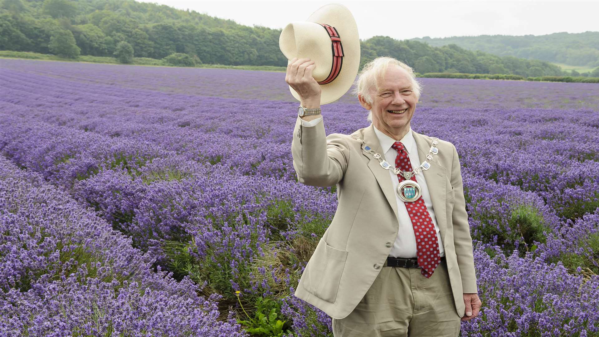 Cllr Simon Raikes, the chairman of Sevenoaks District Council, amid the lavender at Castle Farm.