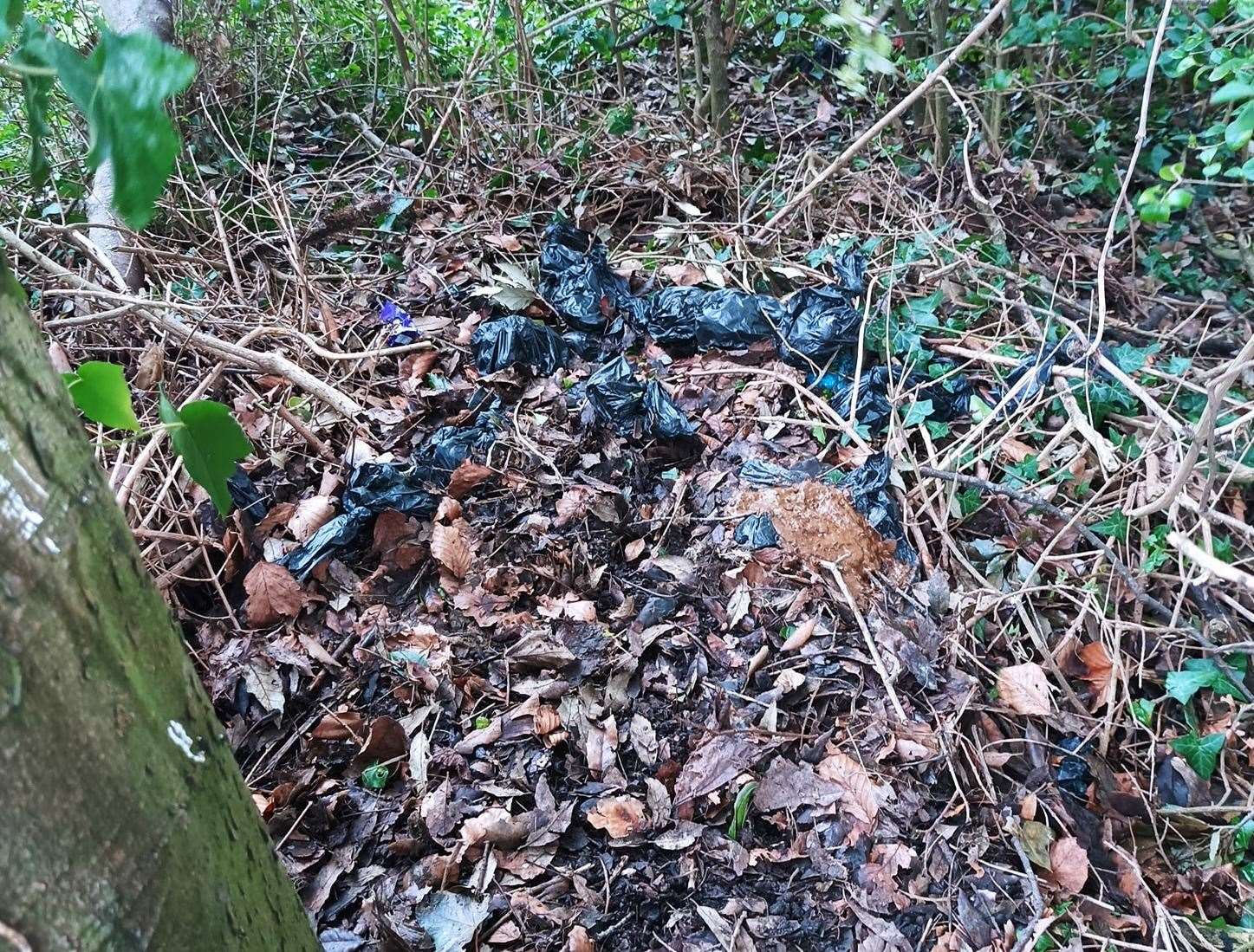 The waste was found along near Coolinge Lane