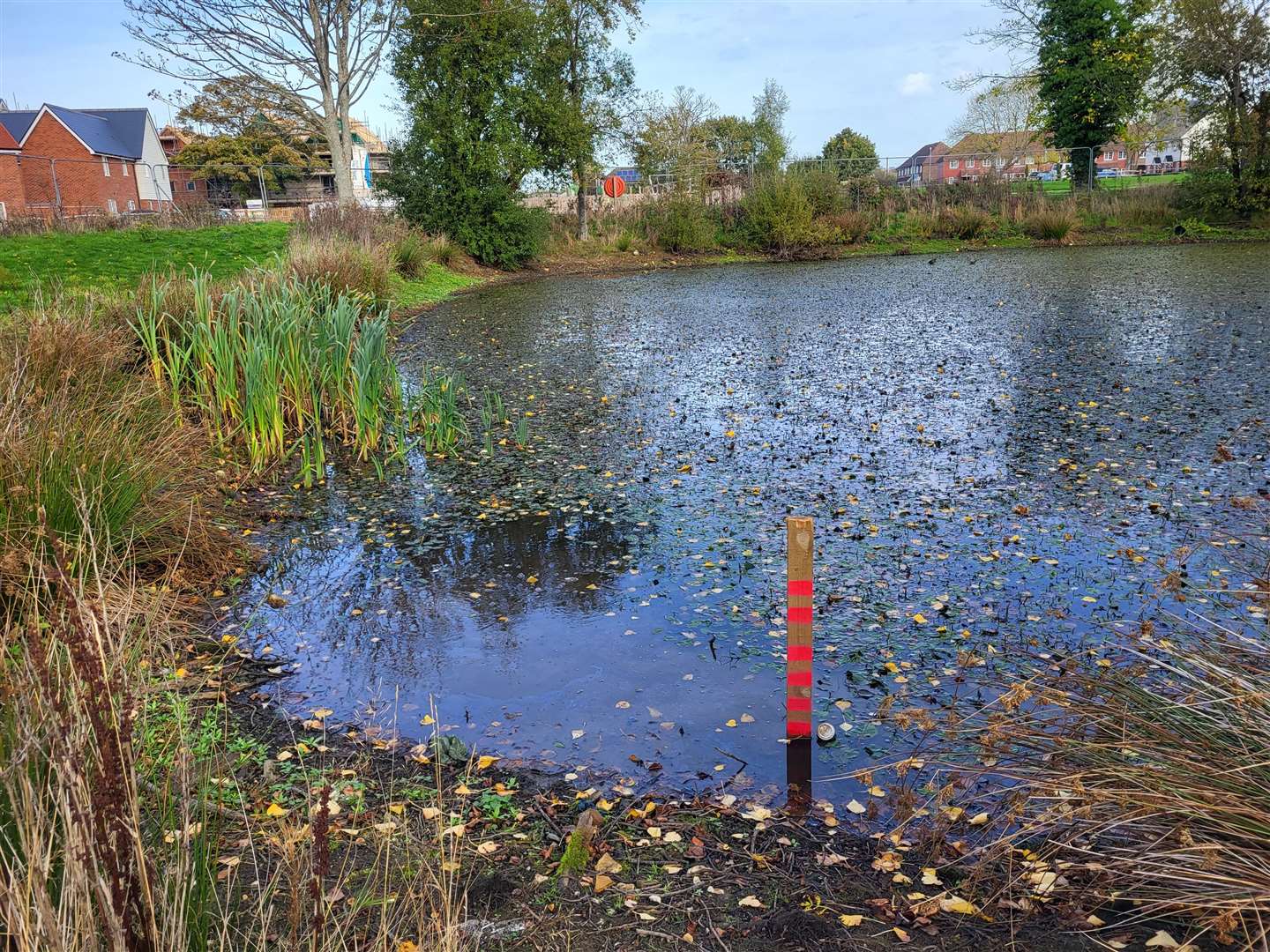 The pond in Sellindge. Picture: Richard Jones
