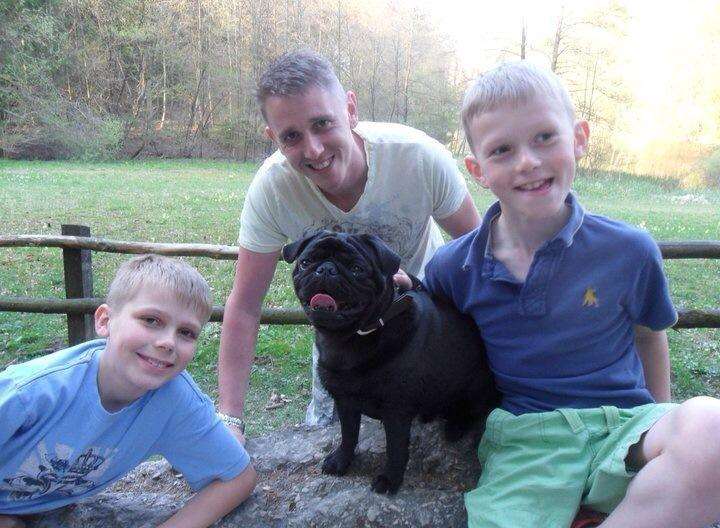 Four-year-old pug Merlin who died on a ferry to Dover with owners Dillon, Ben and Blake Wallace.