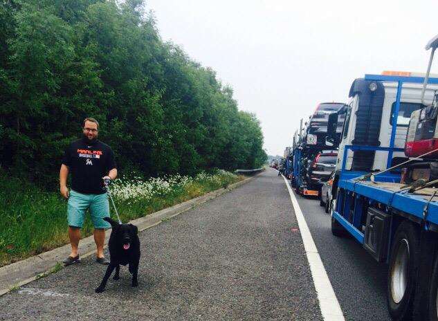 Drivers have left their vehicles, in some cases to walk dogs. Picture: Graham Bell