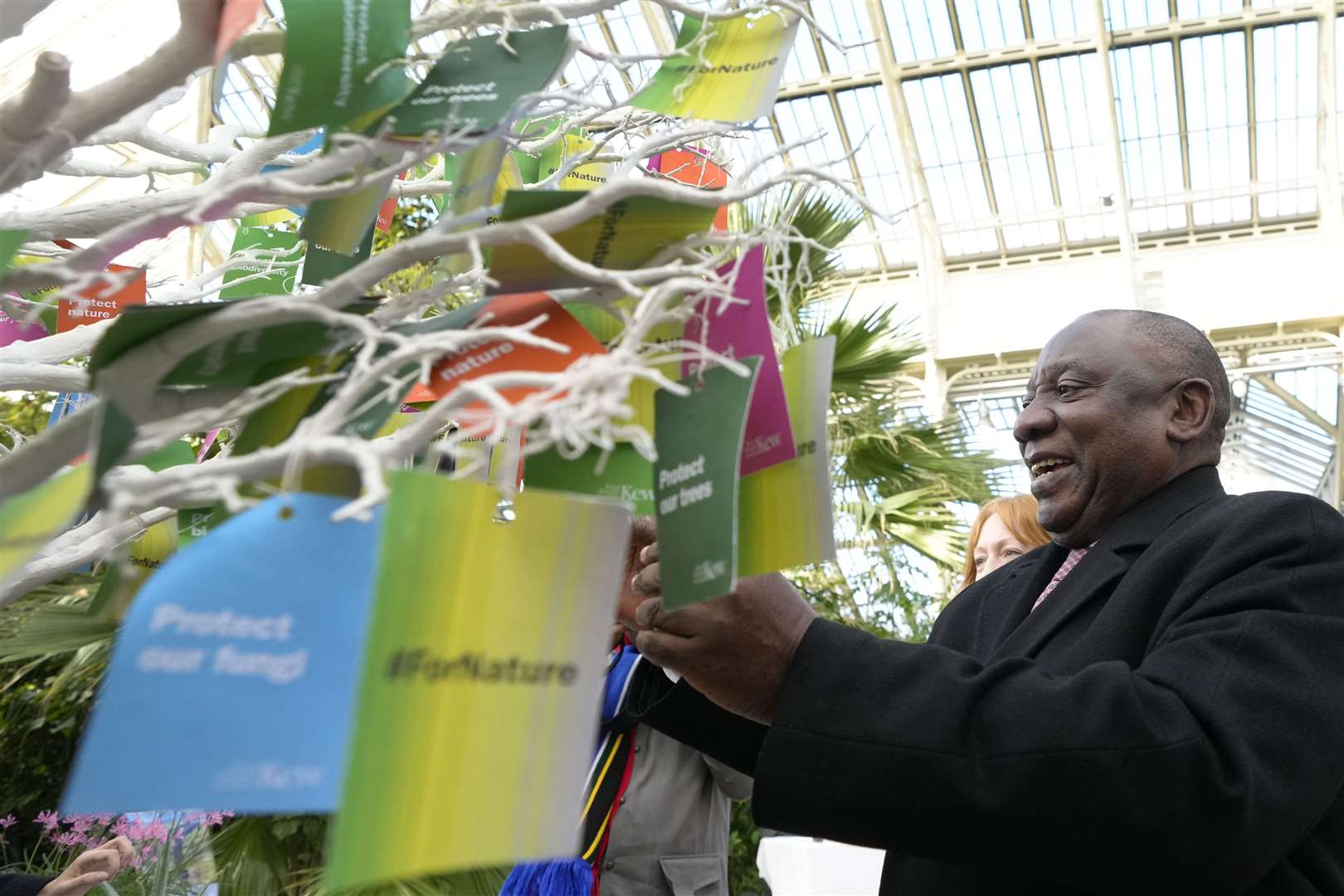 The president ties a ‘wish’ onto a Wishing Tree for Nature as he tours the Temperate House at Kew (Kirsty Wigglesworth/PA)