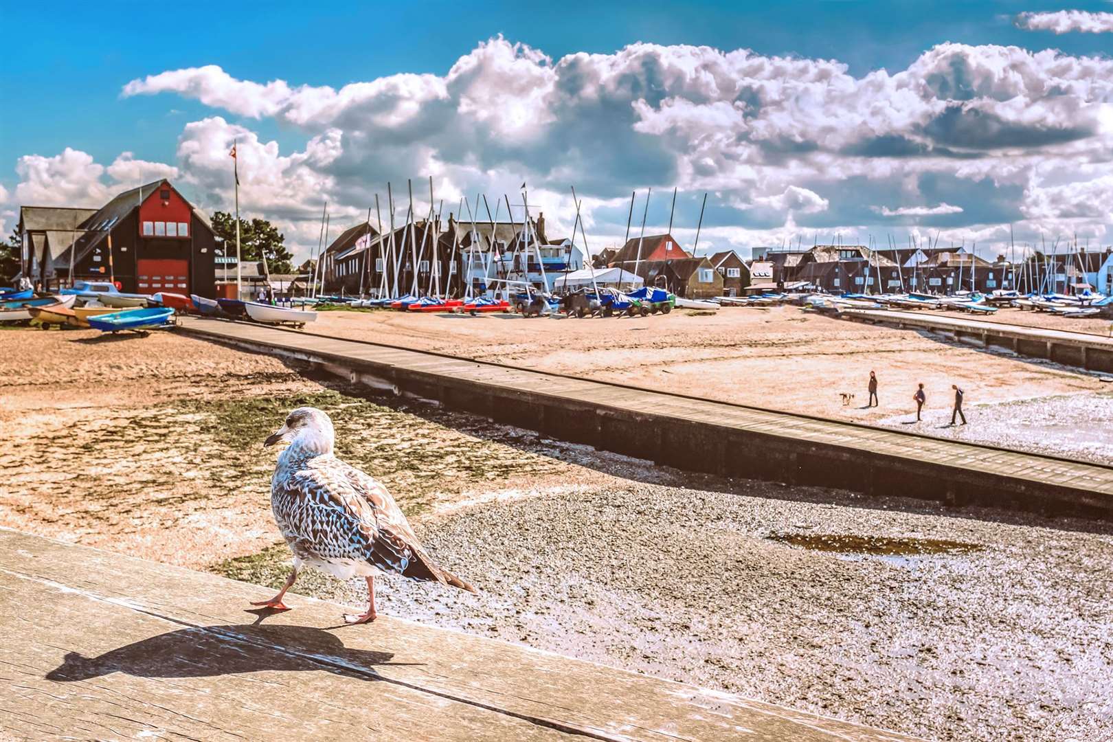 Whitsable's pebbly seafront