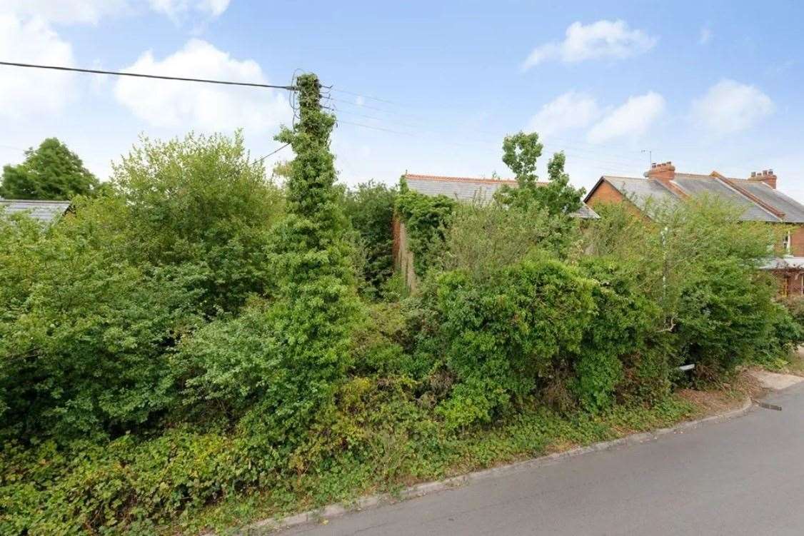 The house in Ham Shades Lane is almost completely hidden by foliage from this angle. Picture: Zoopla