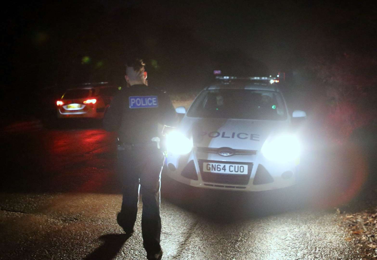 Patrol cars in Rochester Way on Friday night (Picture: UKNIP)