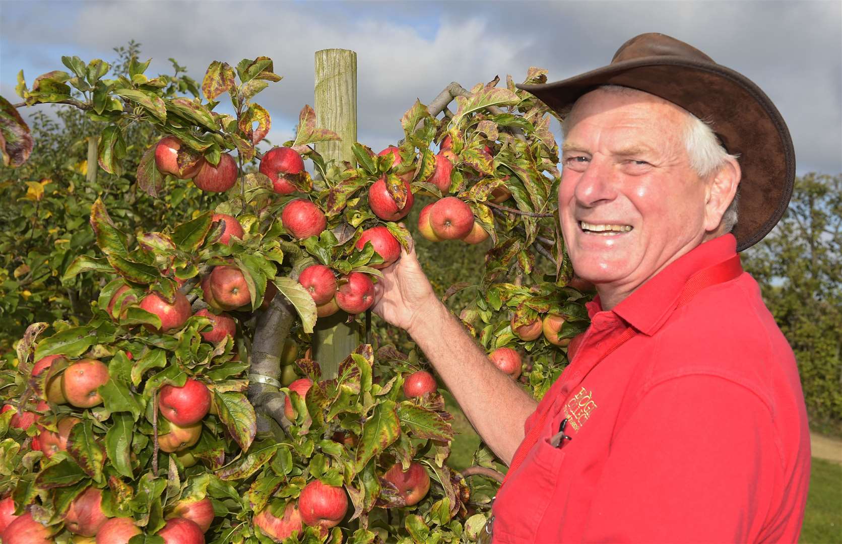 Alan Hayward with some of the apples in Brogdale's orchard Picture: Tony Flashman