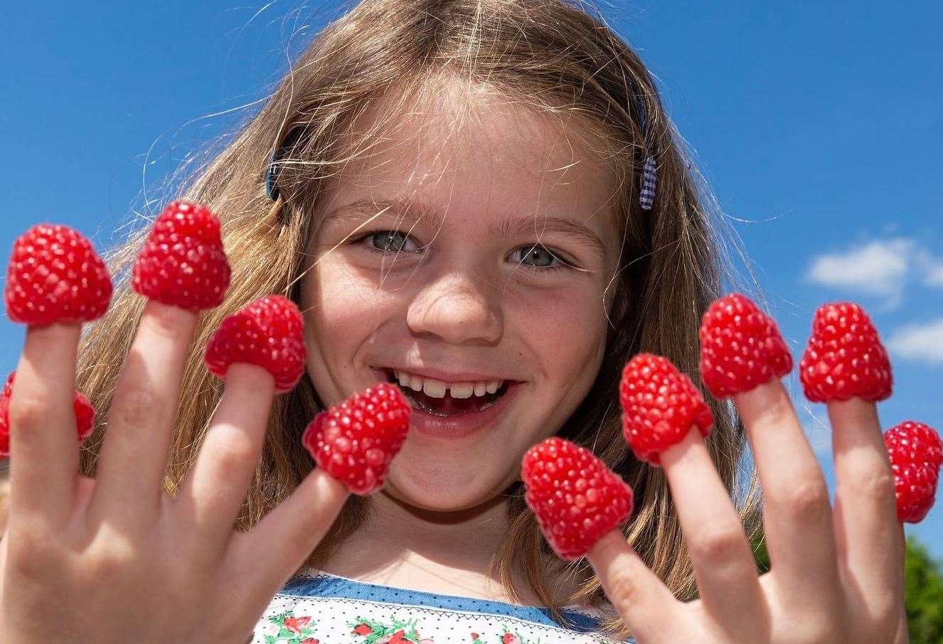 Children at Hunton Primary School were treated to strawberries, raspberries and apples from local growers. Picture: Martin Apps / Countrywide Photographic