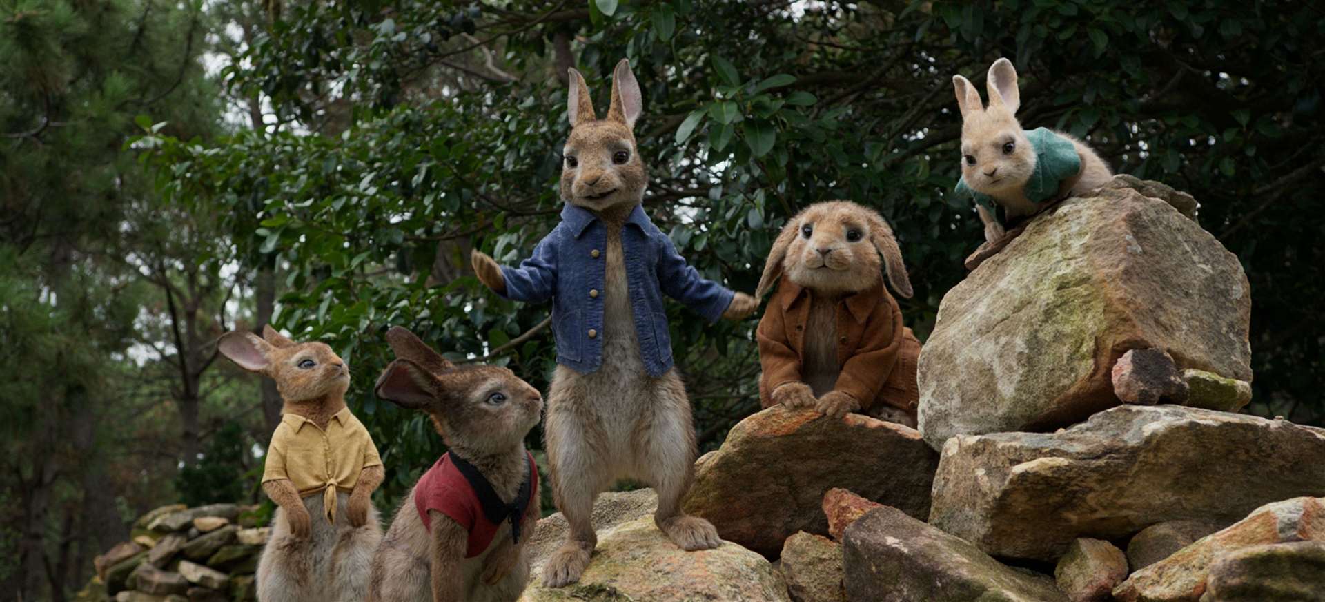 The sequel to Peter Rabbit is the first blockbuster to welcome back fans Picture: CTMG, Inc./Sony Pictures