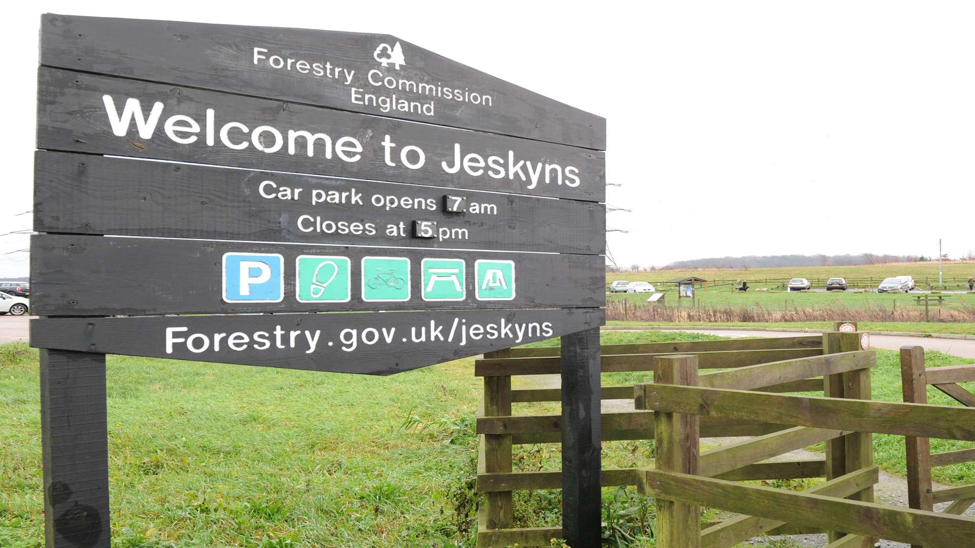 Jeskyns Community Woodland in Cobham