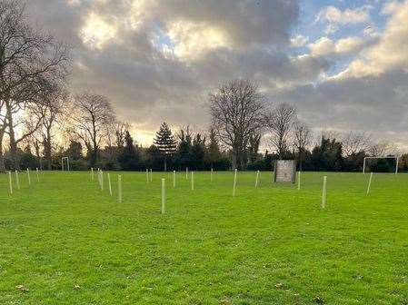 New trees planted at Rainham Recreation Ground