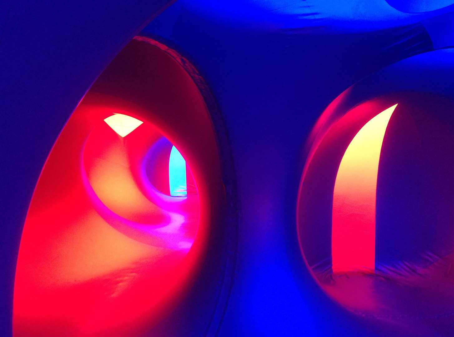 Inside the luminarium