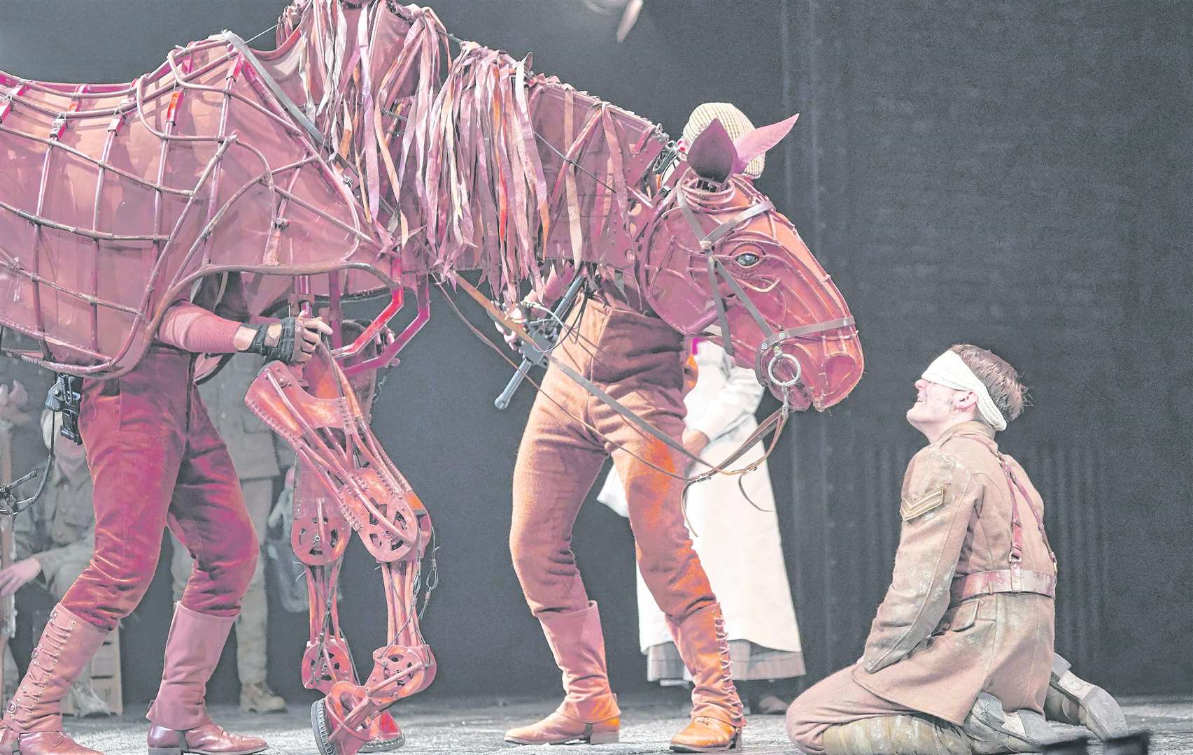 The War Horse UK tour will return to the Marlowe next year. Picture: Birgit & Ralph Brinkhoff