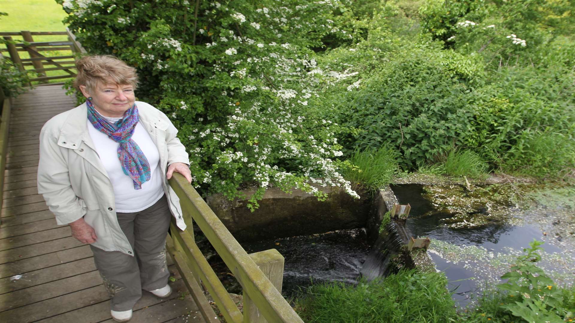 Lesley Feakes, Chairman of Lenham Heritage, at the source of the River Stour in Lenham