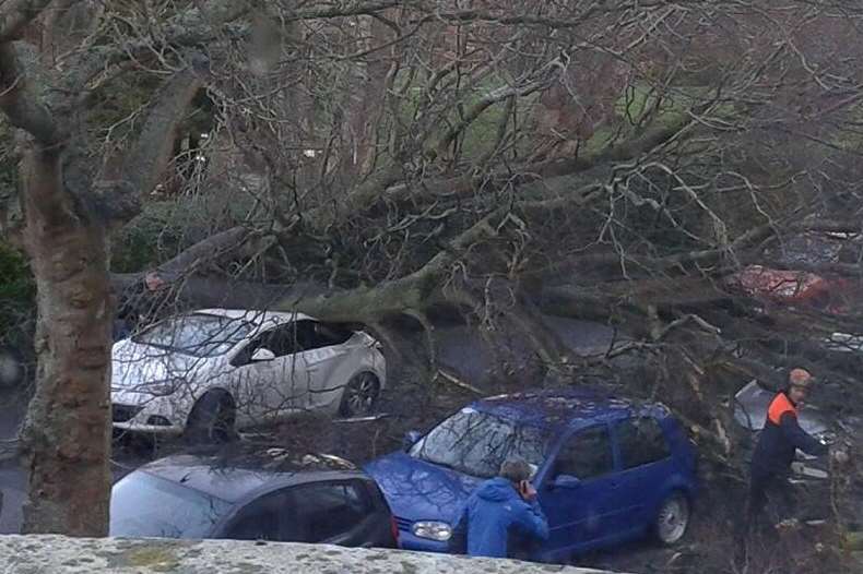 A fallen tree on a car in Grimston Gardens, Folkestone. Picture: @Kent_999s