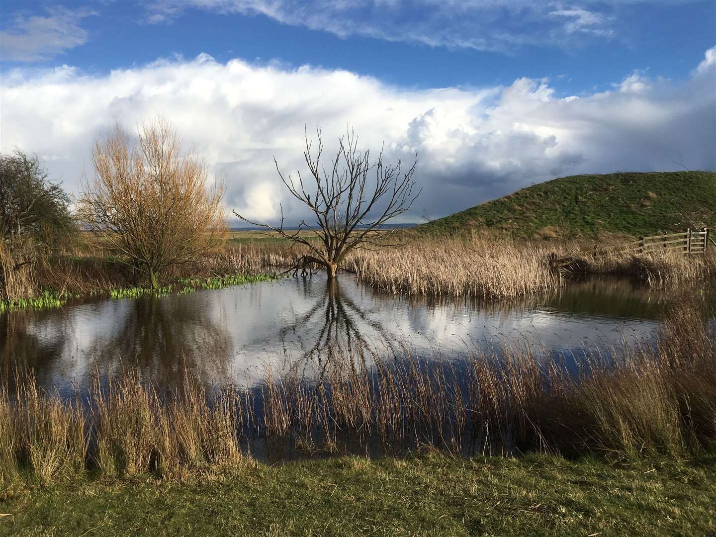 Breathe in the fresh air as you stroll across the marshes at Elmley National Nature Reserve. Picture: John Nurden