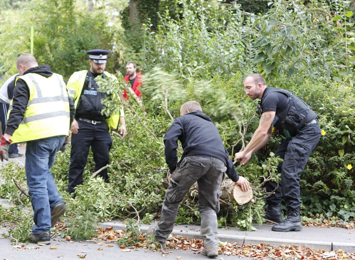 Officers and passers-by are trying to move the tree. Picture: Matthew Walker