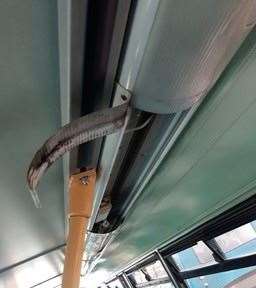 There has been serious damage reported on a number of times. Picture: Arriva