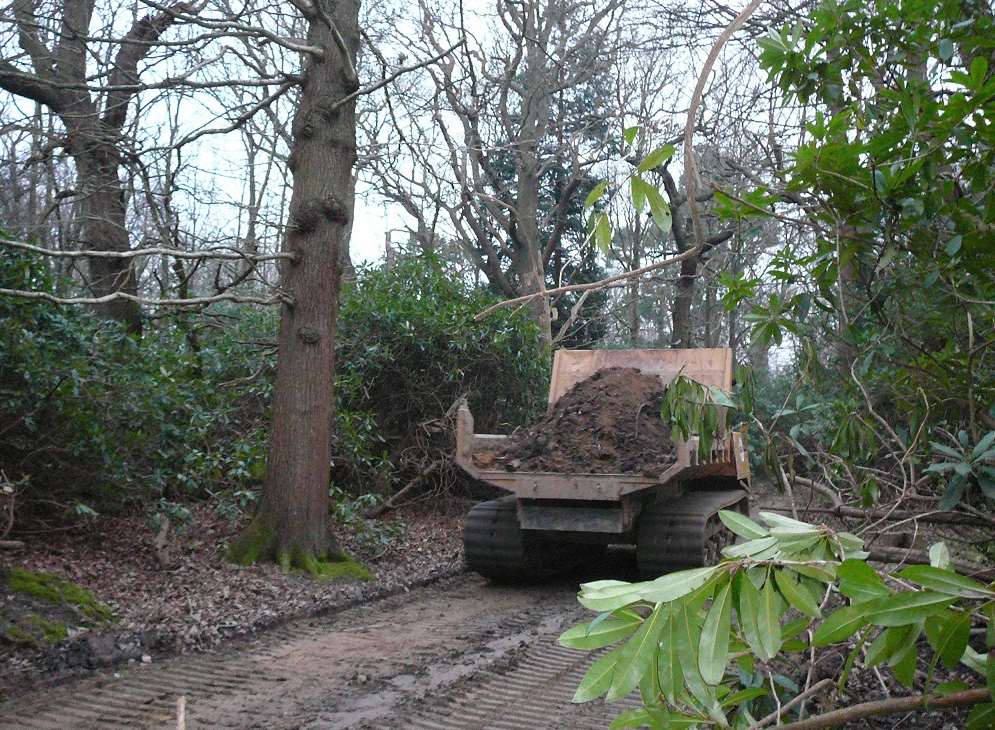 Woodland translocation in progress to create double the woodland